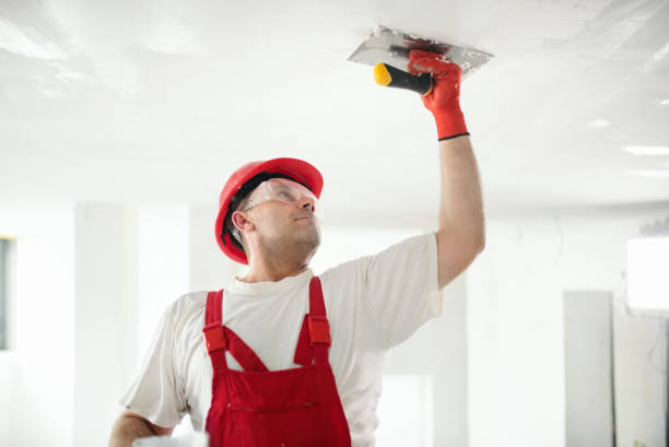 Best Drywall Installation  in Otsego, MN