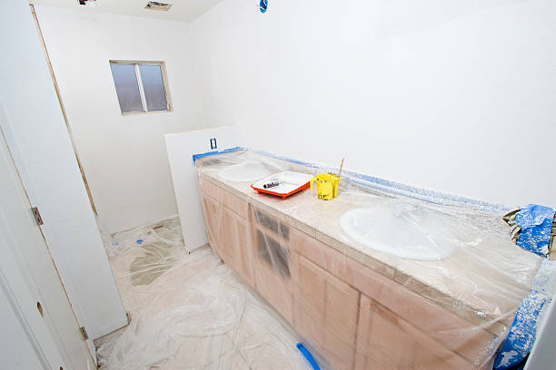 Reliable Otsego, MN Dry wall and painting Solutions